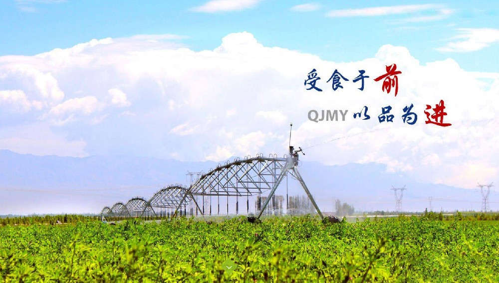 前進青年人才——默默付出，收獲快樂