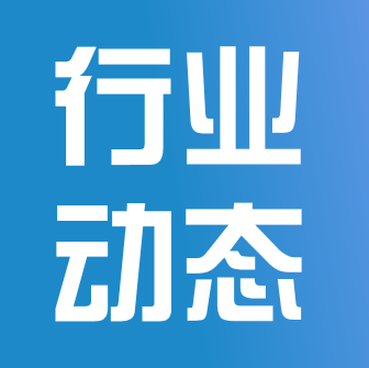 什么是奶酪博士？