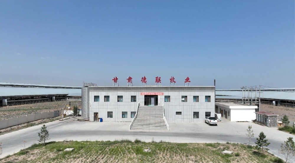 創(chuàng)新驅(qū)動(dòng)發(fā)展，打造奶業(yè)新標(biāo)桿