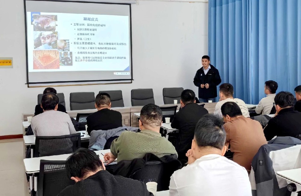 甘肅前進牧業(yè)開展奶牛肢蹄健康與蹄病防治專題培訓