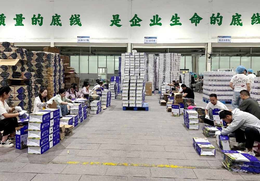 職能部門下沉一線，同心筑牢生產(chǎn)“保障線”
